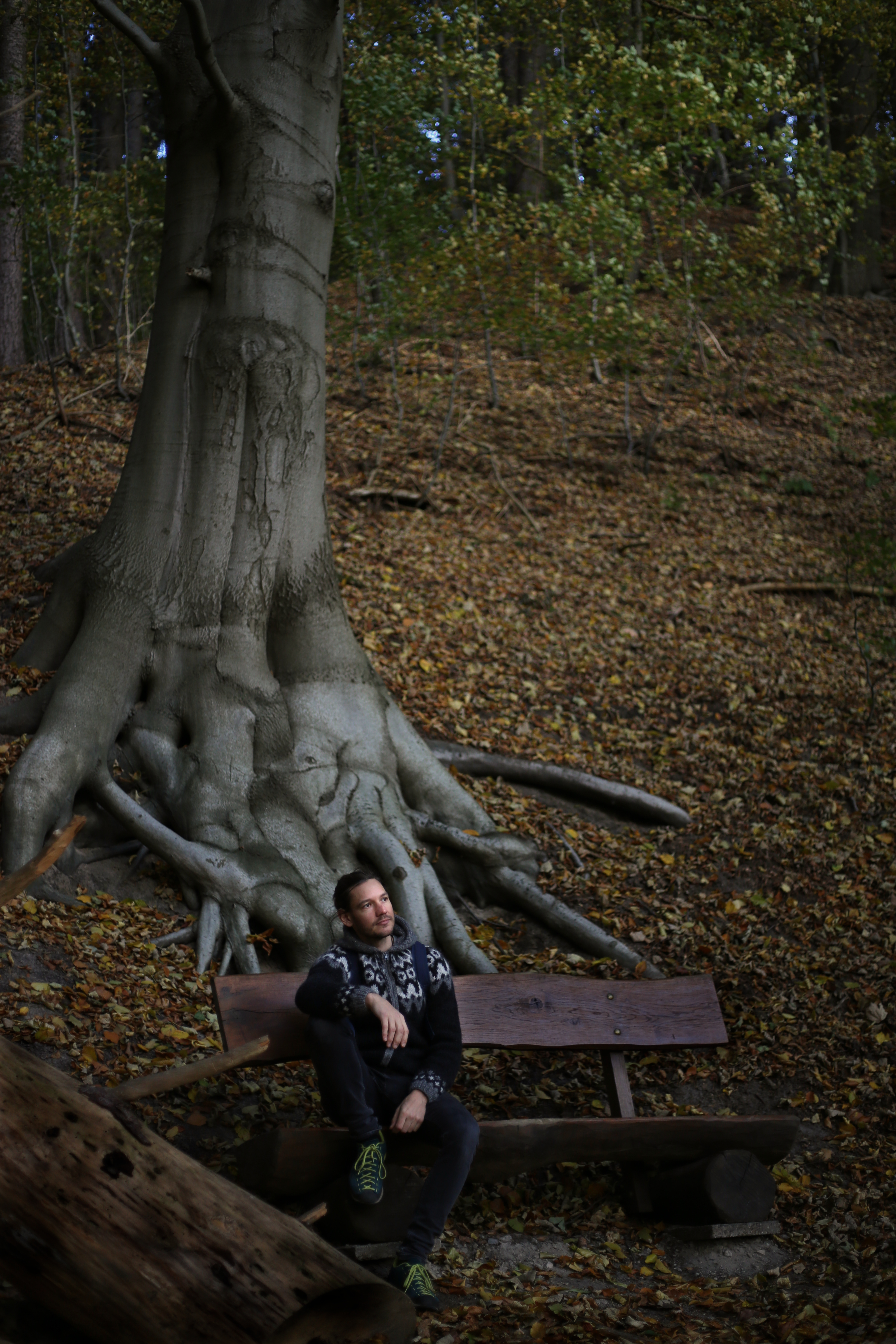 Picture of Rüdiger Fortanier